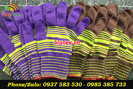 bigbee bán găng tay len thời trang cotton giá rẻ tphcm 
