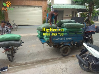 BigBee đi giao bao tay lao động cho anh Hùng - Phủ Hà - Ninh Thuận