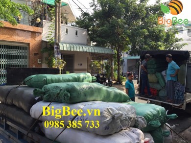 BigBee đi giao bao tay len giá sỉ cho khách ở Xã Hồng Sơn, Hàm Thuận Bắc, Bình Thuận