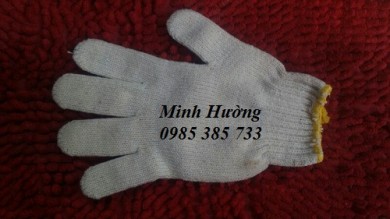 Găng tay len bảo hộ giá rẻ tại Tân Bình HCM